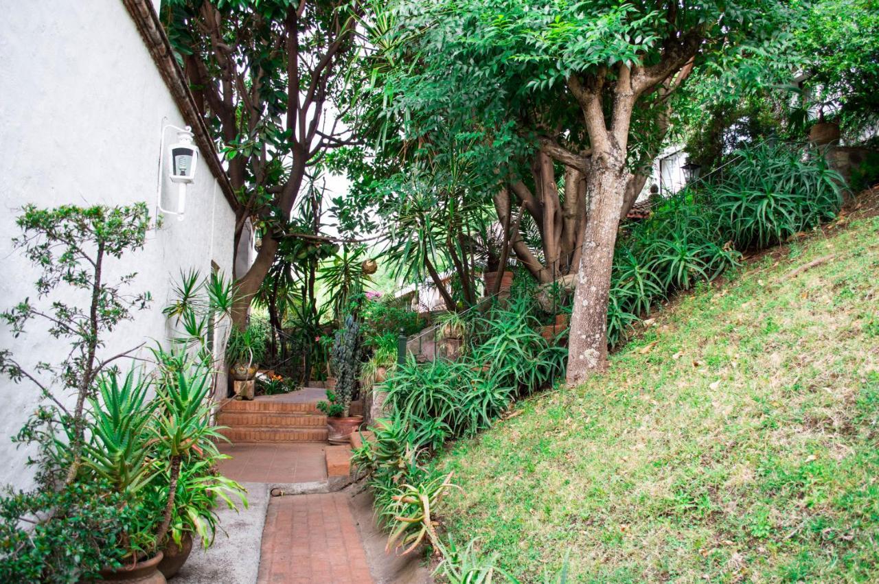 Casa De La Loma Ξενοδοχείο Μορέλια Εξωτερικό φωτογραφία